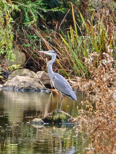 Springs Southview Skegness Springs Southview Skegness
