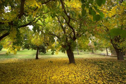 Borgo Della Marmotta - image 10