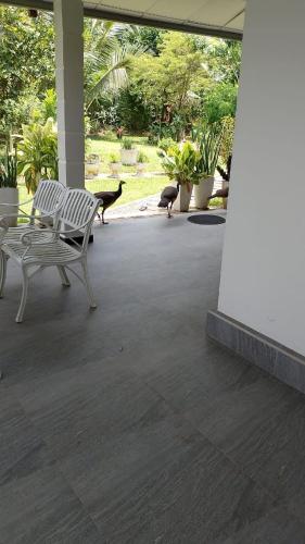 View, Suriya Homestay in Makandura