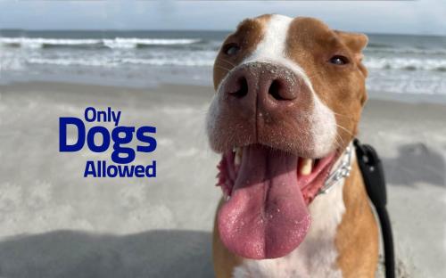 SEA-clusion North SEA-clusion North