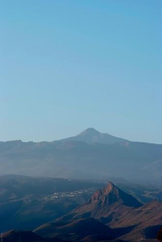 Hotel Palia Don Pedro - image 8