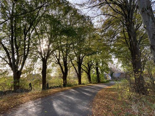 Sissepääs, GRUBBE MØLLE, Lejlighed med eget køkken og bad in Faaborg