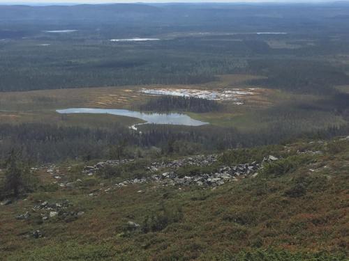 Ankkalinna, Pyhätunturi (fotografie 10)