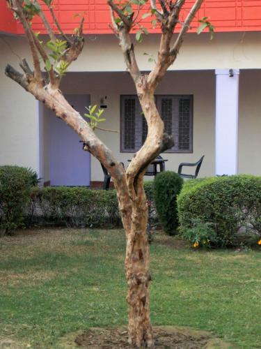 Hotel Goverdhan Tourist Complex in Fatehpur Sikri