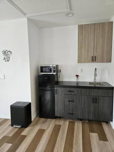Newly Renovated Modern Studio in 奧蘭多東部