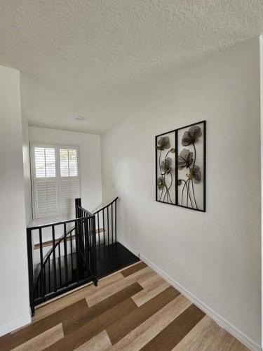 Newly Renovated Modern Studio in 奧蘭多東部