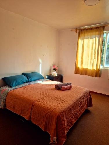 Residencia amplia, cómoda y con asadores listos in Tlaxcala de Xicohténcatl, Mexico