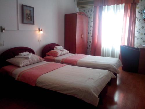 Hotel Ani