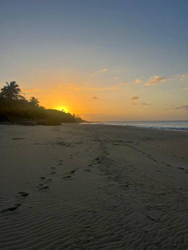 Full House in Rincon & Walk to the beach