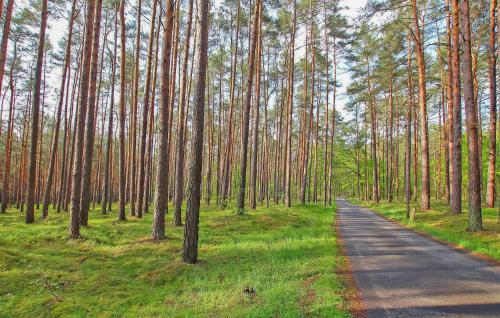 A szálláshely kívülről, Ferienwohnung Torgelow in Liepgarten