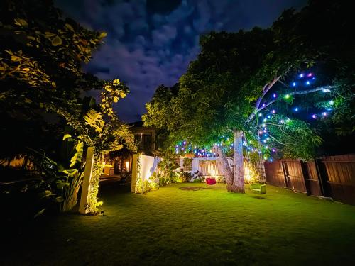 Tana Mysterious garden