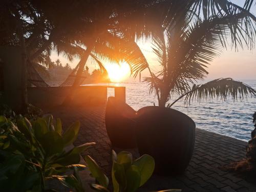 Turtle Beach Talpe in Unawatuna