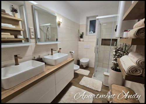 Apartment Andy - image 10