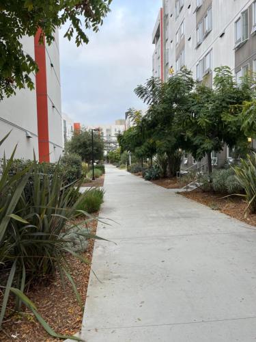 2 Bedroom Apt for UC San Diego affiliate, short-term sublease in San Diego, USA