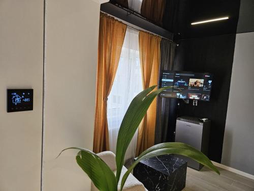 บริการและสิ่งอำนวยความสะดวก, Zet Studio in บราอิลา