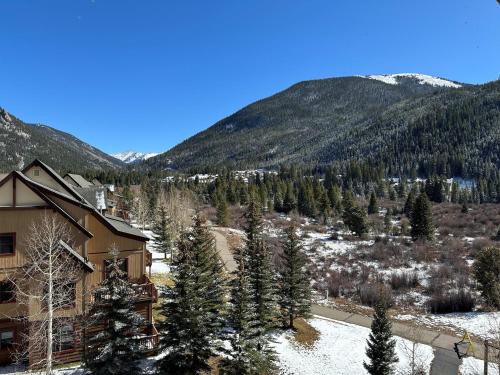 Full Renovated 1BR -Walk to Gondola & Kids Ski Free condo - image 11