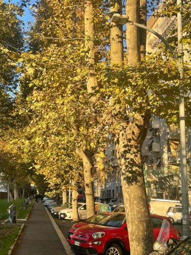 StepaHouse Roma zona San Paolo Elegante Bilocale a 2 minuti dalla Metro B, Roma (foto 7)