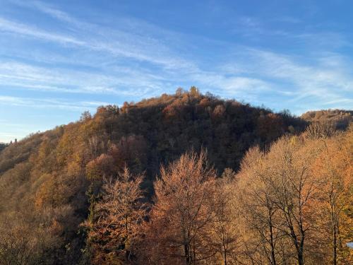 Apkārtne, Ai 4 Gatti B&B in Bielmonte