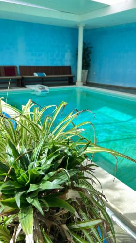 A Fonte in เซตารียา