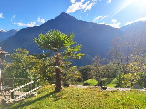 Apkārtne, Oasis di Riposa in Semione