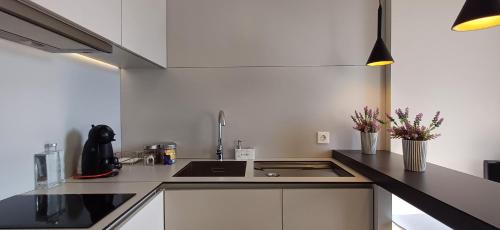 RestOnDouro Oporto Flat in Valbom