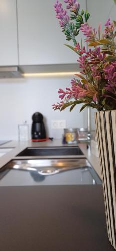 RestOnDouro Oporto Flat in Valbom