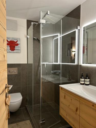 3 bedroom - beautiful apartment, Klosters (foto 9)