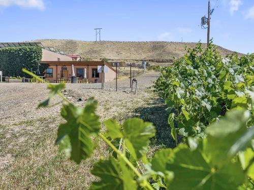 Quiet Garden Sanctuary home