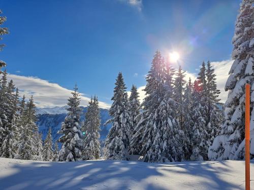 Appartement Tauernlife in 聖維伊恩蓬高
