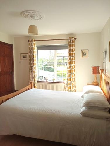 Room in Wexford, Gorey (foto 2)