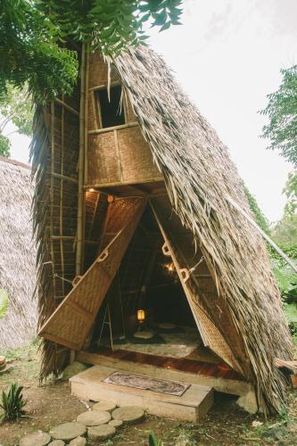 Wonderland Wonderland