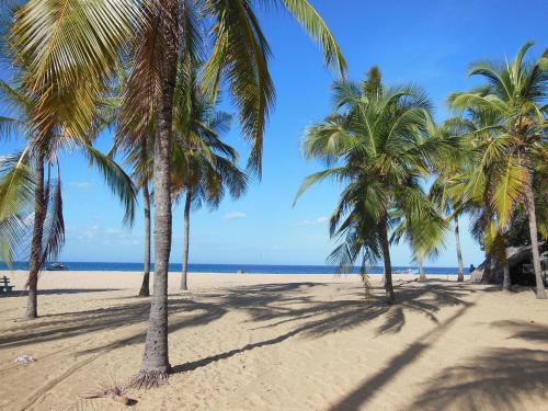 . Lord Of Beach Resort & Meditation Centre