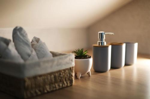 Duplex with private outdoor spa close to Strasbourg city center, Страсбург (фото 8)