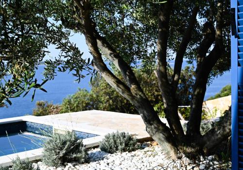 VillaBlu.EU, Vinišće (foto 7)