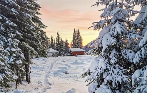 Amazing Home In Hønefoss With Wifi