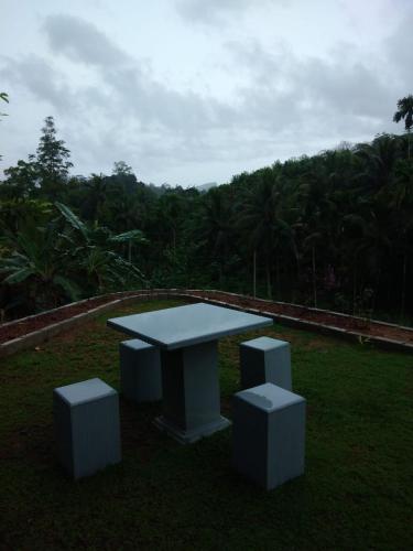 Tea Mount view Villa, Galle (photo 9)