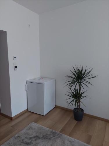 Sandra, Leoben (photo 5)