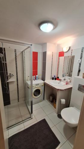 Maxim apartman, Budapešť (fotografie 8)