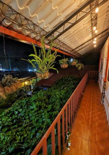 1961 Los Naranjos Hostal in Los Naranjos