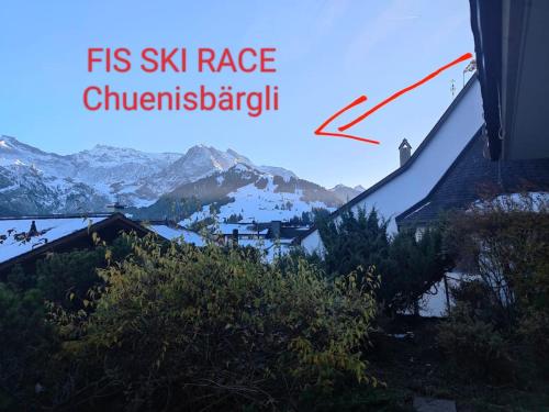 Skirennen von der Terrasse mitverfolgen in Adelboden, Schweiz
