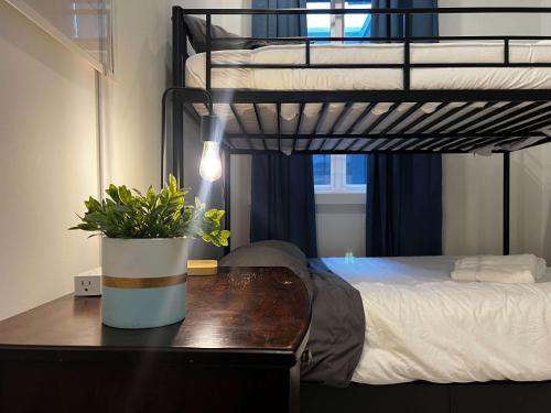 Urban Sophistication, Ocean View, Unit 513