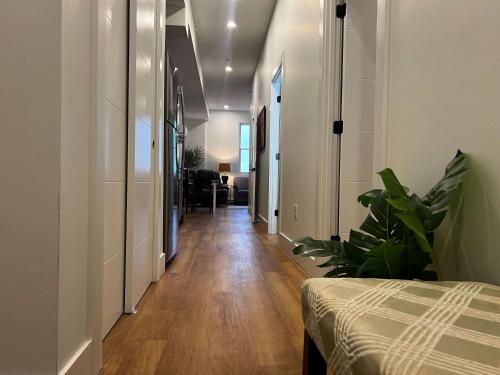 Urban Sophistication, Ocean View, Unit 513