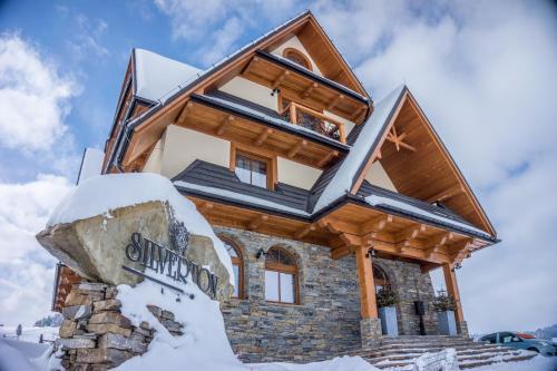 Silverton - image 2