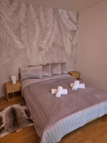 Apartman Triangel 1-04 in 比斯特里察