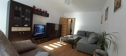 Apartament JUKI, obok Katowice Wynajem na doby, krótkoterminowy, 2 pokoje balkon, 50m2,- po kapitalnym remoncie 2-ga sypialnia jest częścią salonu blisko Centrum Leczenia Oparzeń 2,5 km