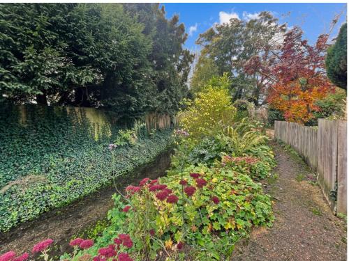 Kingfisher in ซอว์สตัน