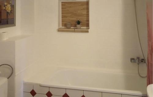 Pet Friendly Home In Maszewo With Wifi