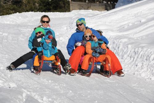 Hotel Garni Alpenland – Altenmarkt, MN