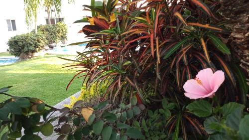 Canarios HC Resort in Cuernavaca, Mexico