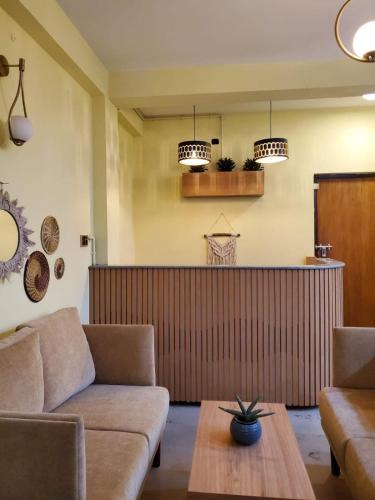 Homotel International near Pashupatinath Temple